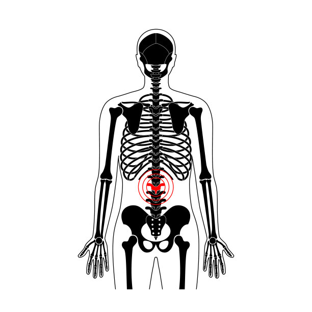 人体脊柱疼痛矢量插图图片下载