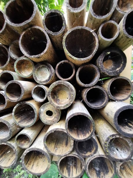 风景、海滩、水、夏天、天空、大海、自然、海洋、旅游、海岸、沙滩、户外、蓝色、美丽、背景、阳光、度假、地平线、倒影、日落、旅游、日出、假日、风景、剪影、竹林图片下载