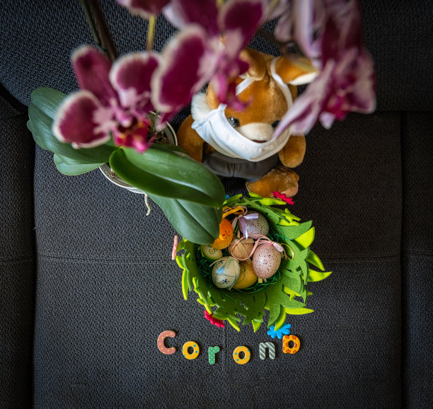 可爱的棕色小复活节兔子荷兰洛普吃草，在附近的复活节蛋。特写镜头，慢动作图片下载