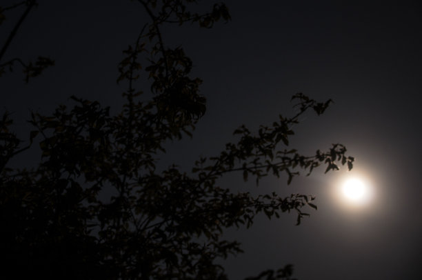 晚上在轮廓图片下载