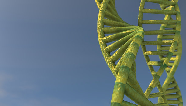 具有DNA分子的生物化学概念图片下载