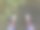 年轻人赤脚站在柔软的青苔上，感觉脚踏实地图片下载