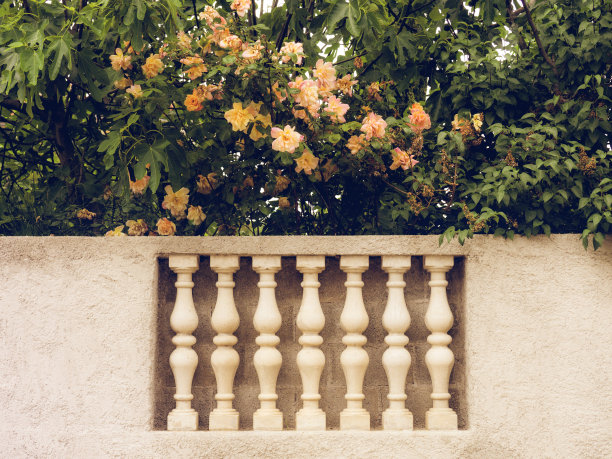 白色迷情眼栏杆图片下载