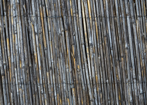 竹篱笆图片下载