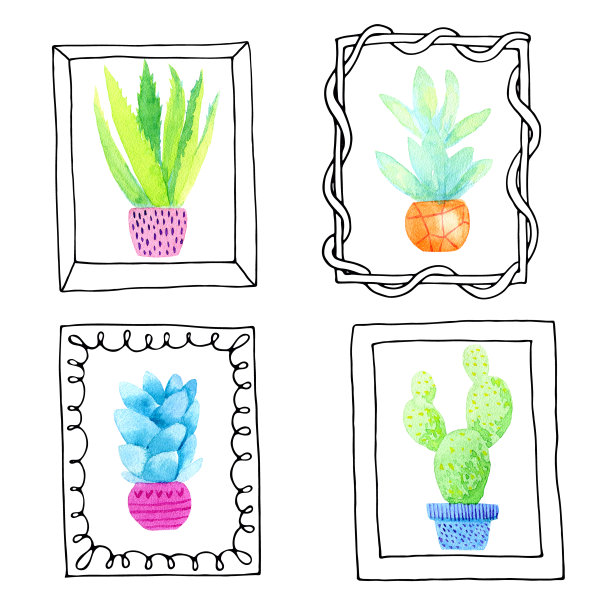 手绘画框中的水彩仙人掌。设置孤立的白色。图片下载