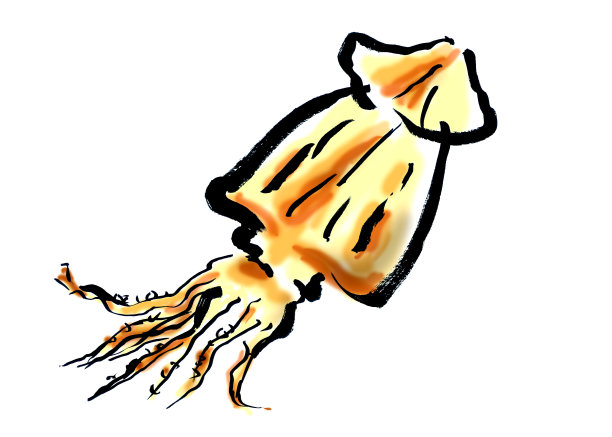 苏鲁梅图片下载