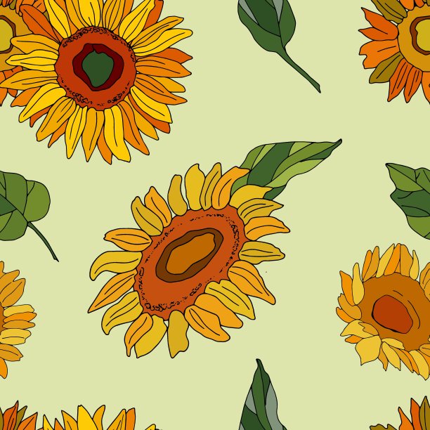 向日葵的叶子。素材图片