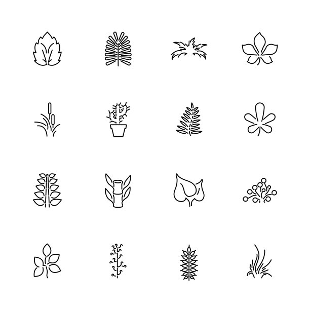 植物-平面矢量线图标图片下载