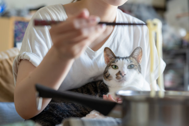 年轻女子，膝盖上有只猫，正在吃乌冬面图片下载