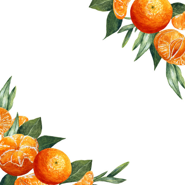 模板与水彩水果图案。背景鲜亮的橘子，剥皮，切片，叶子和文字的地方图片下载