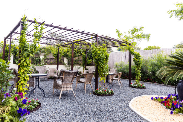 美丽的庭院与攀缘植物图片下载