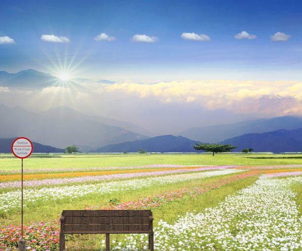 3d效果图的工作从外部好看的观点图片下载