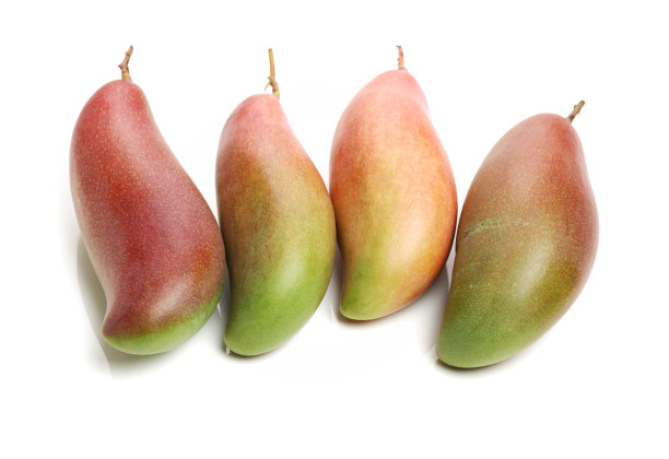 芒果果实图片下载