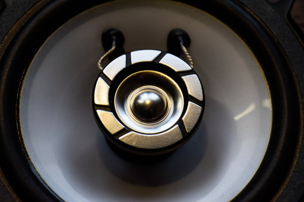 组合汽车扬声器，高音喇叭集成在大扬声器。图片下载