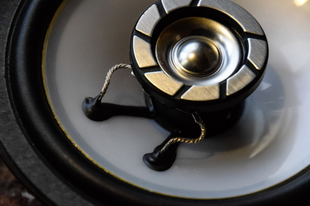 组合汽车扬声器，高音喇叭集成在大扬声器。图片下载