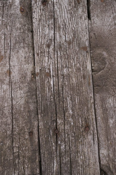 老木纹表面特写。表面有苔藓和浮雕。老木板的旧木纹和苔藓的库存照片。照片上的棕色和灰色。图片下载