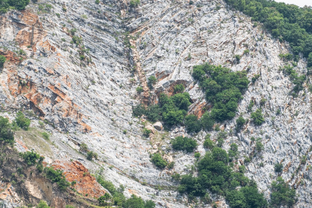 落基山和绿色森林在白天感觉强烈图片下载