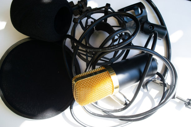 Mocrophone音乐图片下载