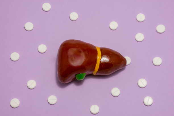 以人体或动物肝脏为解剖实体或模型，以紫色为背景，四周为白色片剂或药丸，点缀有圆点花纹。用于医学和肝病的照片图片下载