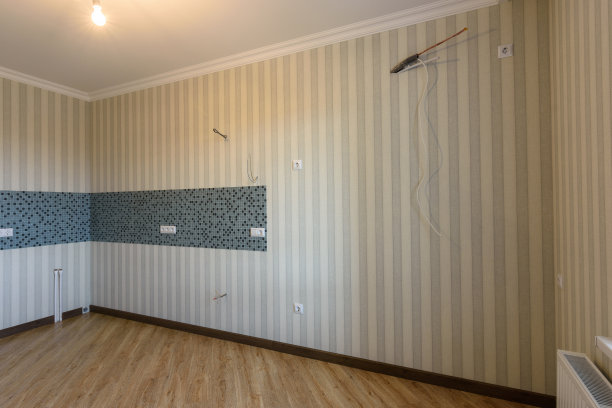 室内的一个空的未来厨房修理后图片下载