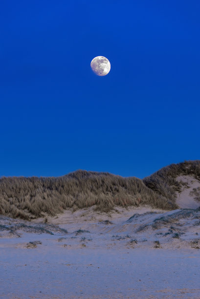 月亮从沙丘上升起图片下载