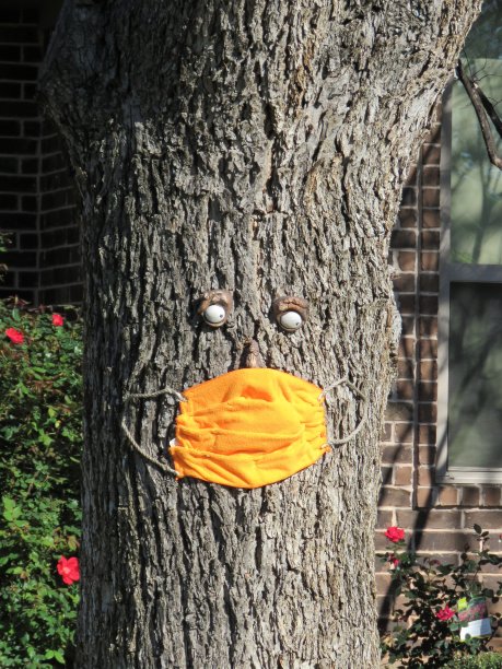 装饰着外科手术面具和眼球的树幽默图片下载