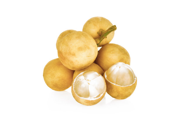 卧龙岗的果实孤立在白色的背景上。图片下载