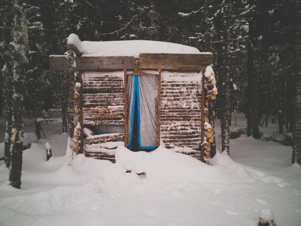 电影风格的冬天场景常绿的森林和新鲜的雪。图片下载