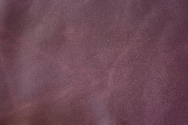 真皮纹理背景图片下载