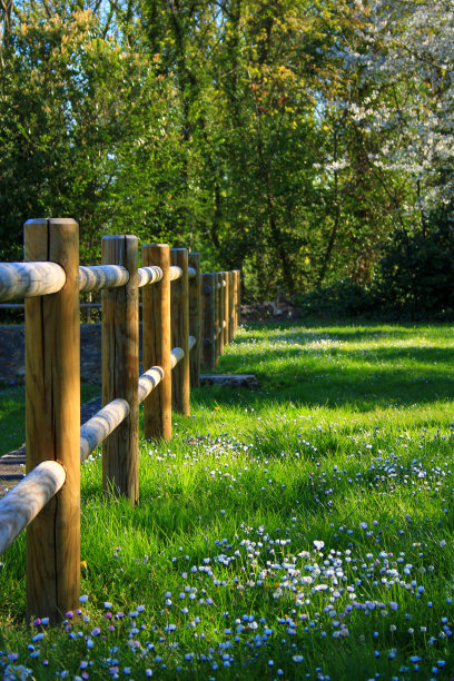 春天有树木和植被的花园。图片下载