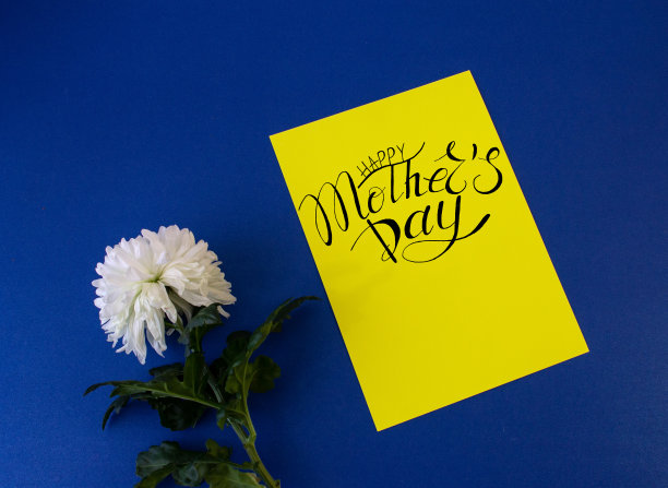 卡片，横幅，母亲节的祝贺模板图片下载