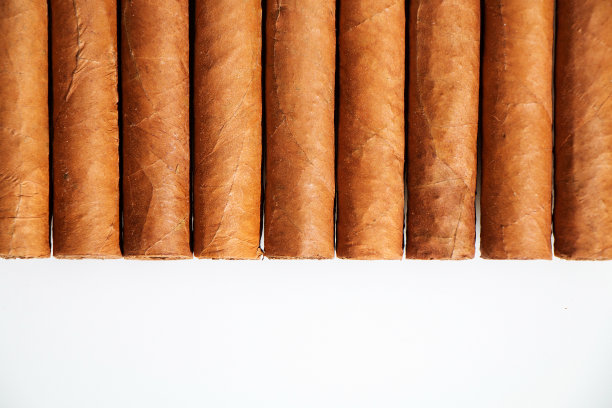 白色背景上的古巴雪茄图片下载