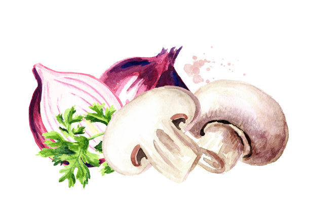 新鲜蘑菇配洋葱和香草。水彩手绘插图，孤立的白色背景图片下载