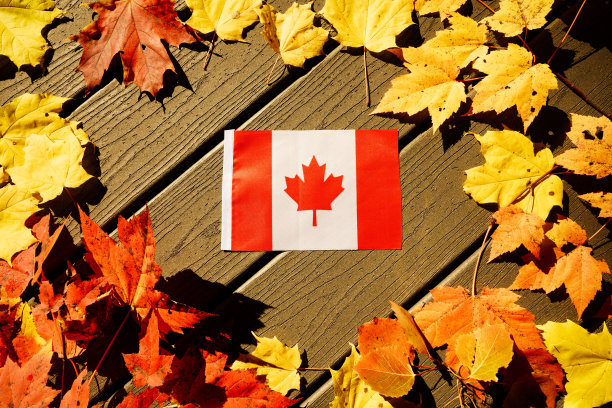 加拿大国旗与真正的枫叶颜色在白色的背景图片下载