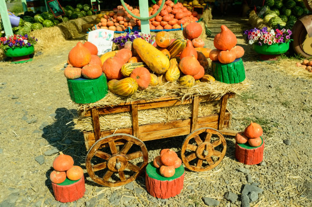 手推车上的南瓜在露天市场上出售。图片下载