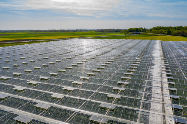 番茄田温室鸟瞰图图片下载