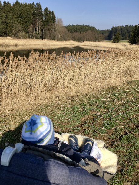 一个小男孩坐在婴儿车里向外张望图片下载