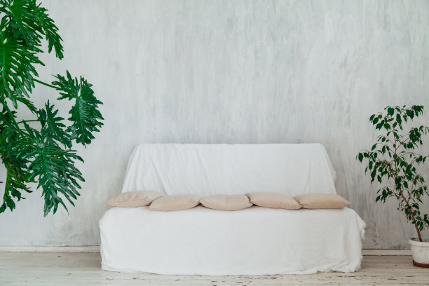 灰色房间的白色沙发，里面有植物图片下载