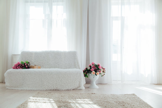 在房子的白色房间里放着带花的沙发图片下载