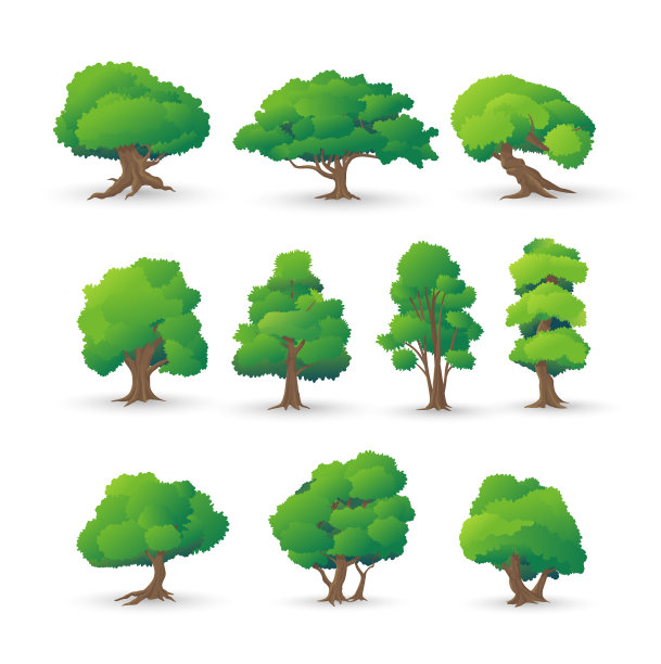 不同的绿树类型集。各种类型木材的矢量插图。10树集矢量插图图片下载