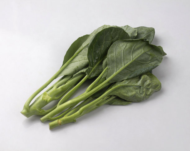 分离在白色上的新鲜绿色羽衣甘蓝图片下载