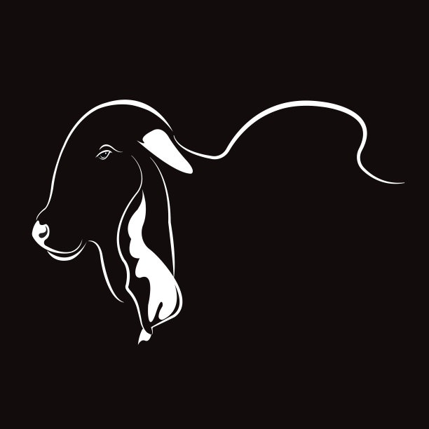 矢量图片牛头设计，标志设计，农场动物，黑白图片，线动物，在黑色的背景。图片下载