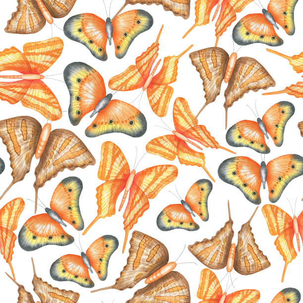 橙色蝴蝶图案。jpg图片下载