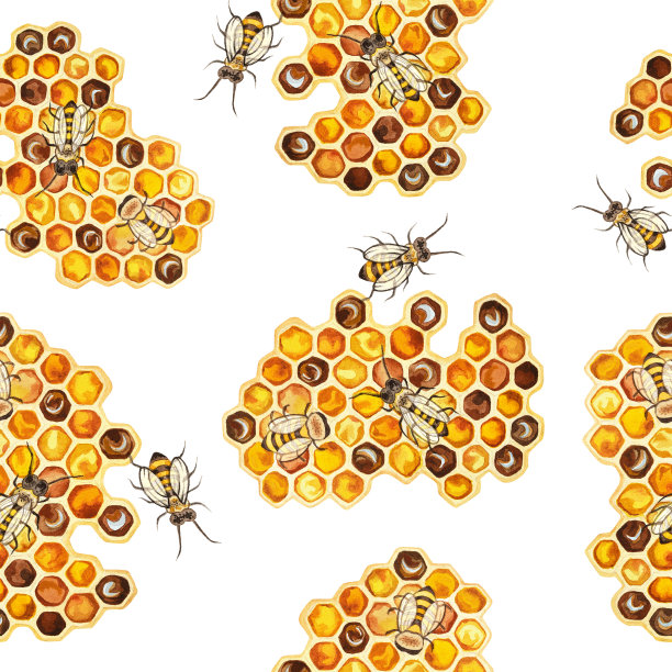 水彩插图图片下载