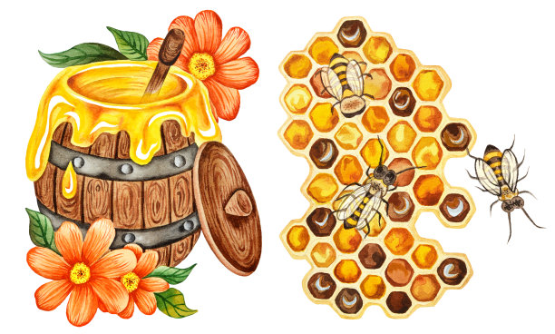 水彩插图素材图片