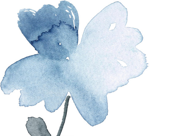 水彩鲜花贺卡。宽大的蓝色和灰色花。图片下载