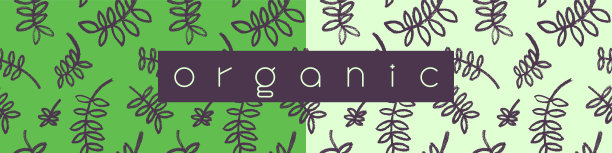 健康饮食背景。植物图案的旗帜设计与手绘绿色图标。草本植物的背景。图片下载