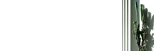 大大的绿色仙人掌在有阴影的房子里图片下载