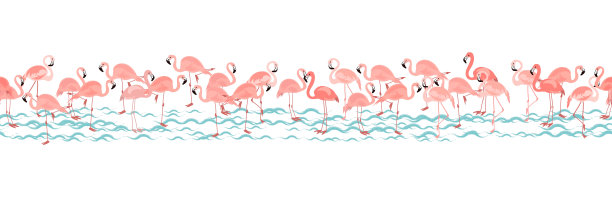 无缝图案与粉红色火烈鸟图片下载