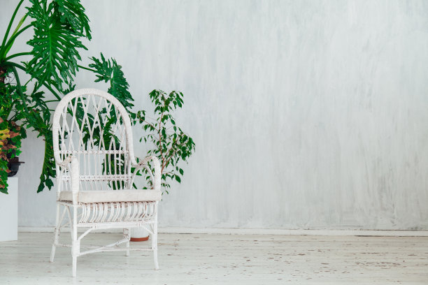 在一个老式的灰色房间里，白色的扶手椅和家里的植物图片下载